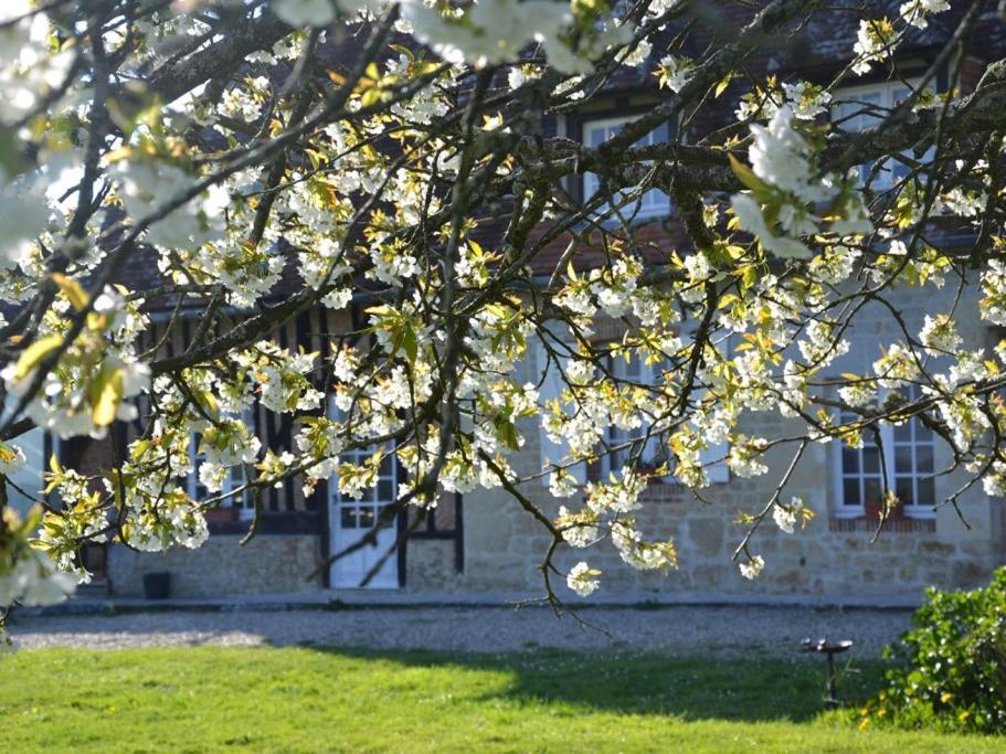 Saint-Germain-de-Livet Maison D'Hotes La Bihoree מראה חיצוני תמונה